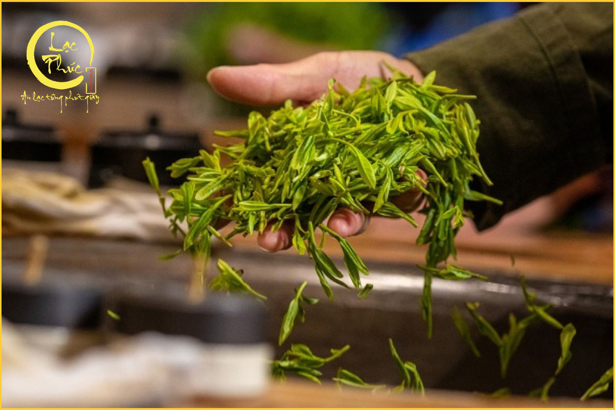 Trải nghiệm thưởng trà Long Tỉnh Tây Hồ đầy tinh tế