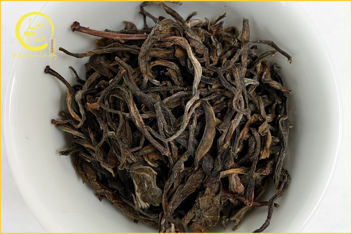 Tuổi cây càng lớn - Hương vị càng sâu và giàu năng lượng