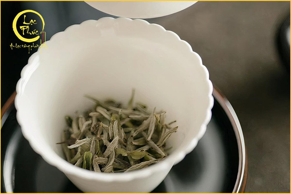 Vì sao Bạch Hào Ngân Châm được xem là tinh hoa trà trắng?