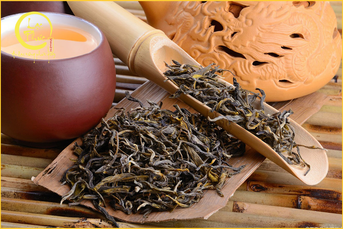 Vì sao giới sành trà mê mẩn Trà Phượng Hoàng Đơn Tùng Lão?