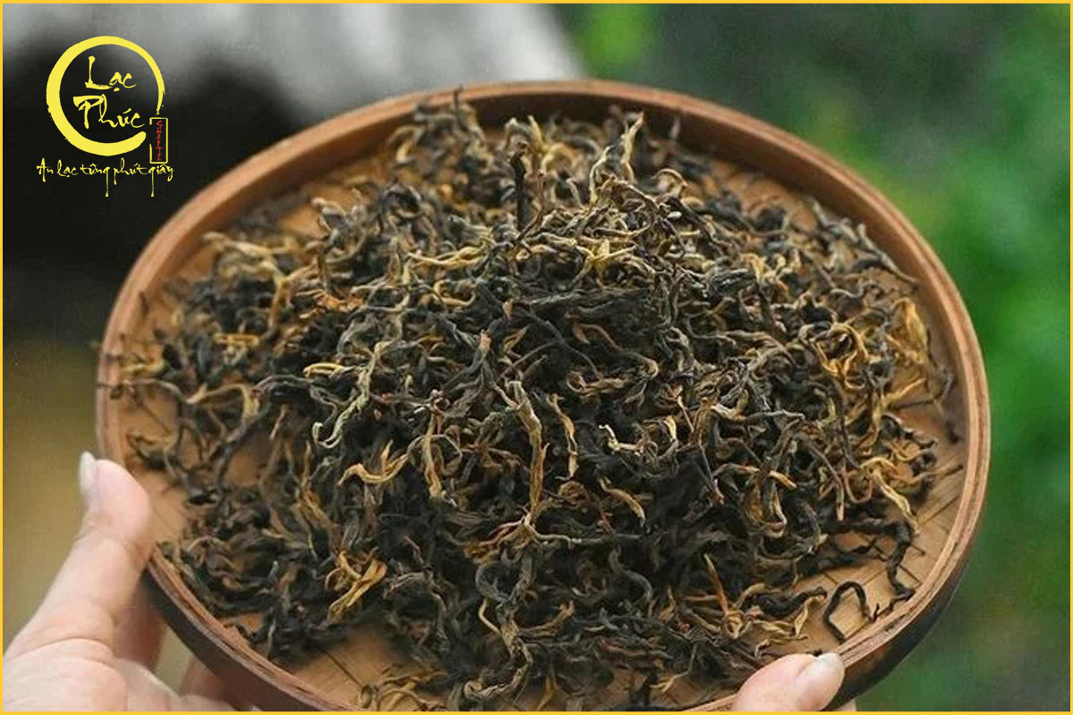 Vì sao Hồng trà Tây Côn Lĩnh khiến người thưởng trà nhớ mãi?