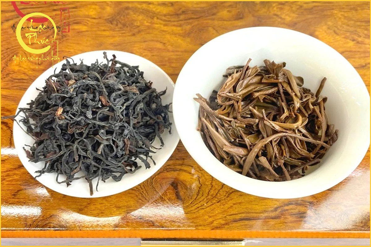 Vì sao nhiều người yêu trà lựa chọn Hồng Trà Hồng Mai Tử Trà?