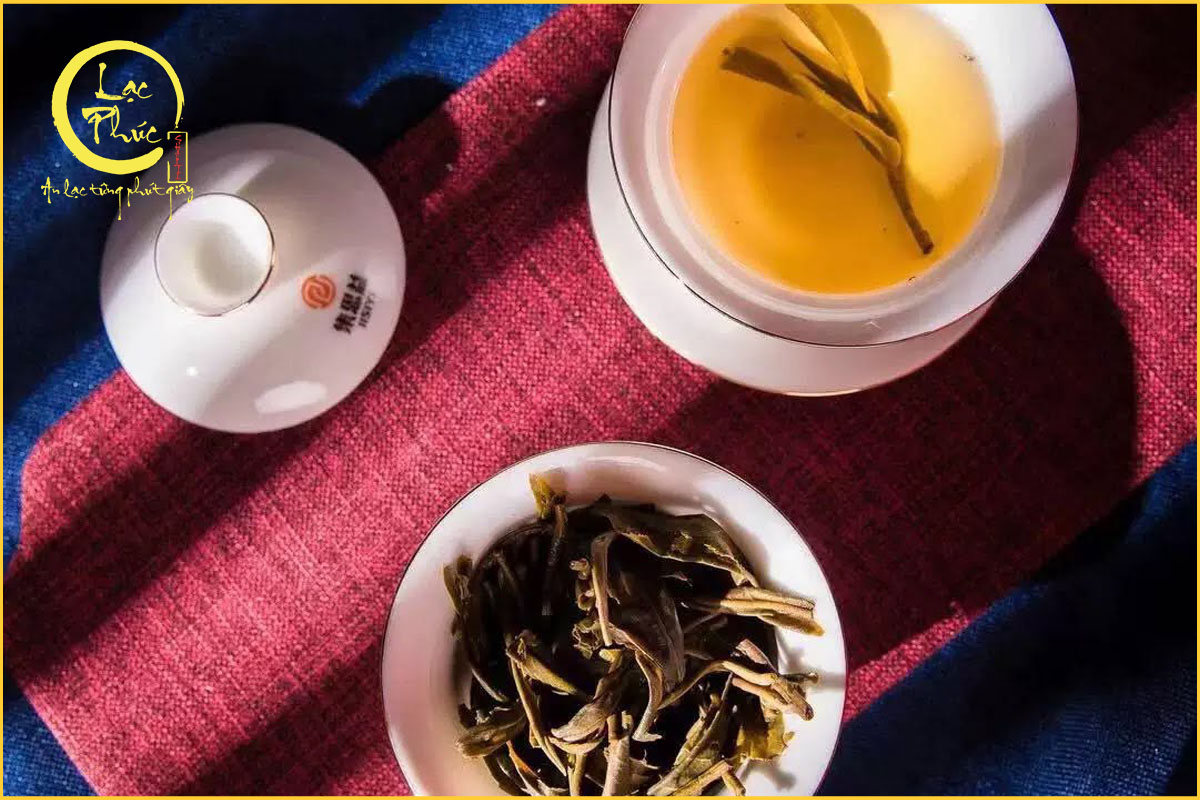 Vì sao trà cổ thụ Lão Ban Chương thường có “trà khí” mạnh?