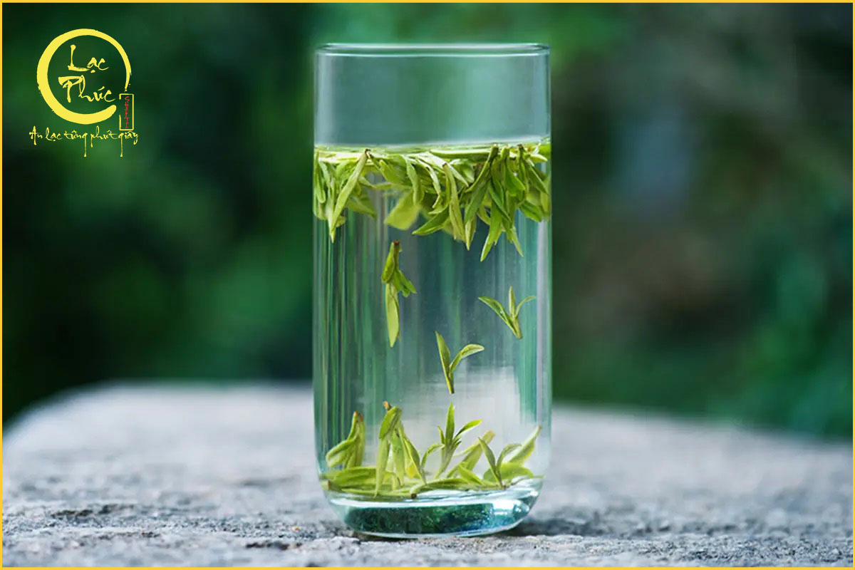Vì sao Trà Mao Tiêm Tín Dương được người thưởng trà yêu thích?
