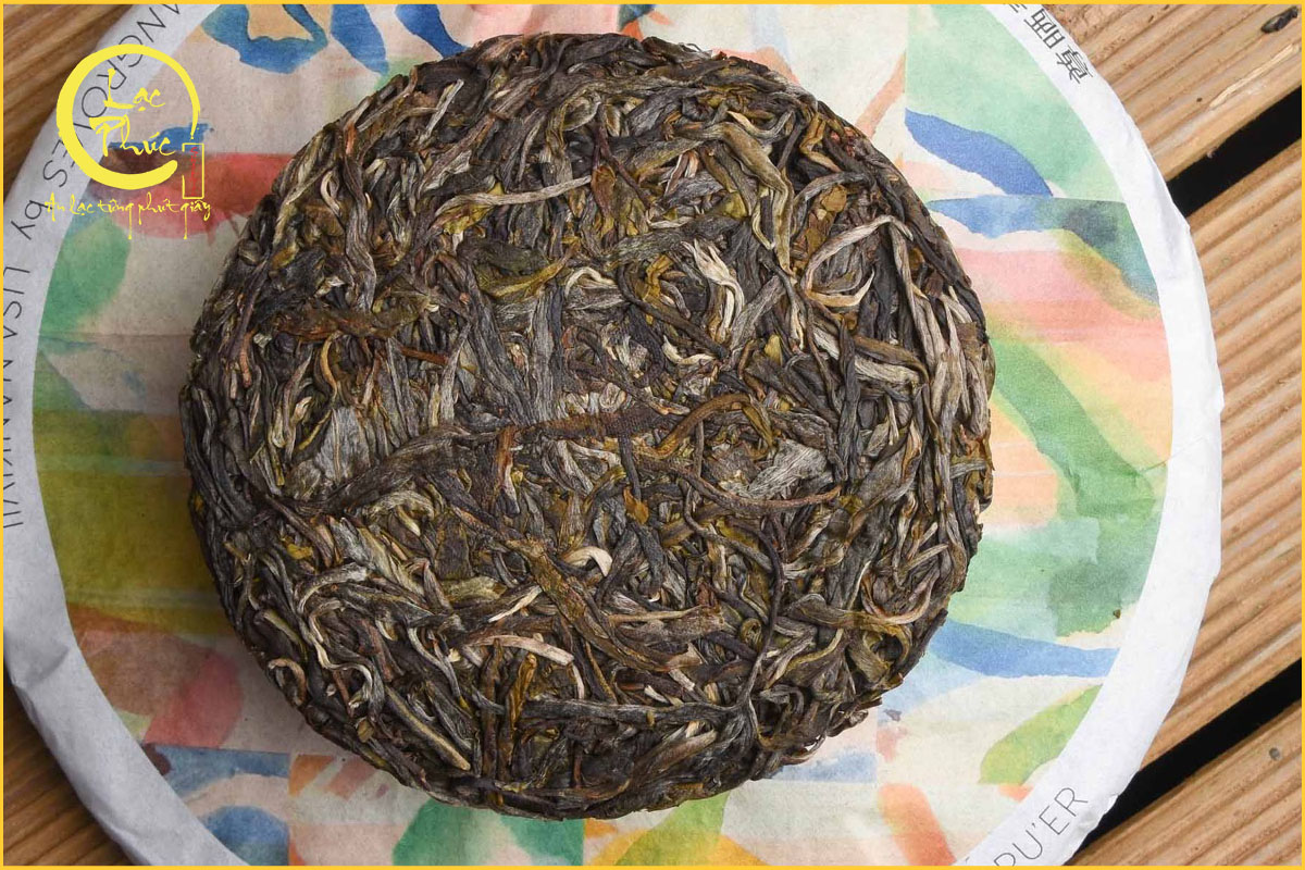 Vì sao việc bảo quản Phổ Nhĩ Sống ở Việt Nam đặc biệt quan trọng?