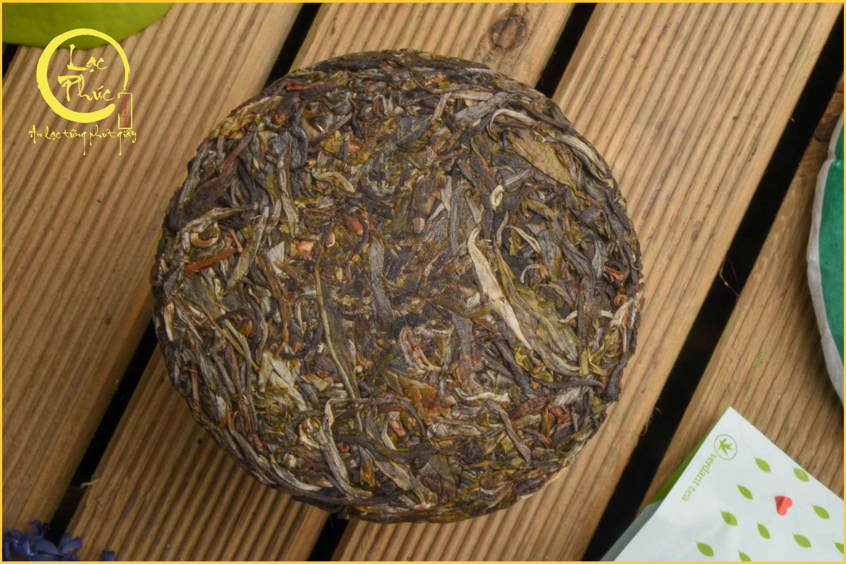 Vì sao vùng trồng ảnh hưởng mạnh đến hương vị Phổ Nhĩ Sống?