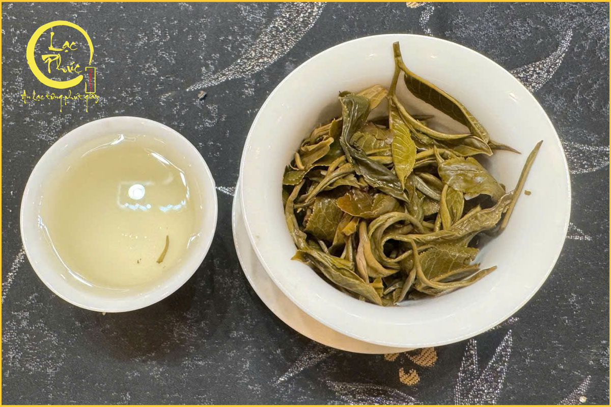 Vị Trà Bích Loa Xuân Giang Tô có gì nổi bật?