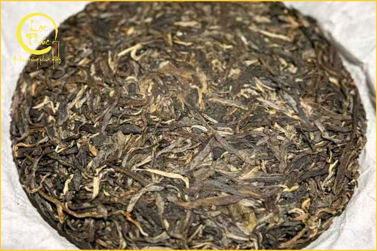 Vùng trà Mường Khố Đại Tuyết Sơn - Nơi sinh trưởng của những cây trà cổ thụ
